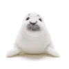 National Geographic Harp Seal Pup Medium Soft Toy -Toys Store 412303312962