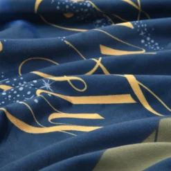 Disney Store Peter Pan 70th Anniversary Reversible Throw -Toys Store 434117408358 3