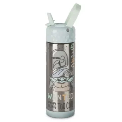 Star Wars: The Mandalorian Stainless Steel Water Bottle With Built-In Straw